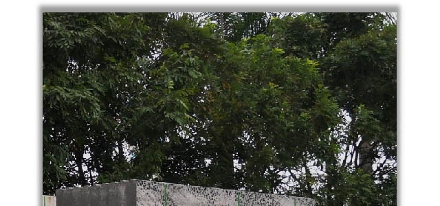 近年來火爆廣東市場(chǎng)上的輕質(zhì)環(huán)保陶粒板到底是什么